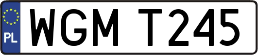 WGMT245