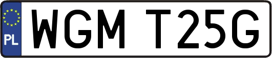 WGMT25G