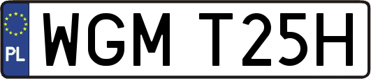 WGMT25H