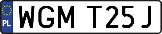 WGMT25J