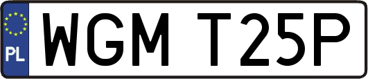 WGMT25P