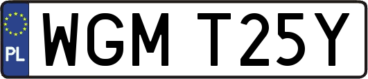 WGMT25Y