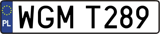 WGMT289