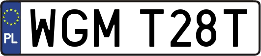 WGMT28T