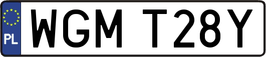 WGMT28Y