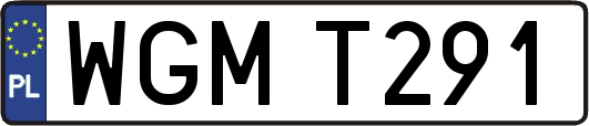 WGMT291