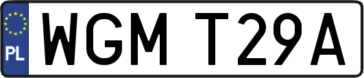 WGMT29A