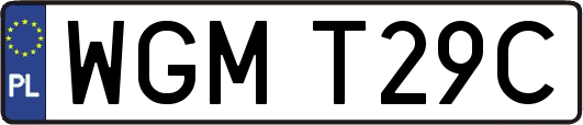 WGMT29C