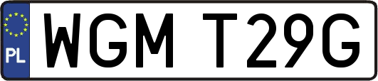 WGMT29G