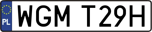 WGMT29H