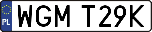 WGMT29K