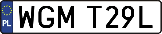 WGMT29L