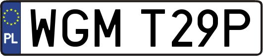 WGMT29P