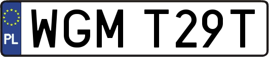 WGMT29T