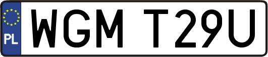 WGMT29U