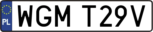 WGMT29V