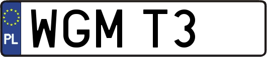 WGMT3