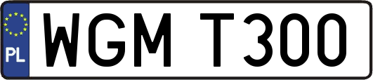WGMT300