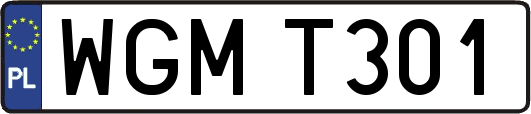 WGMT301