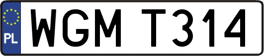 WGMT314