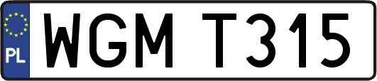 WGMT315