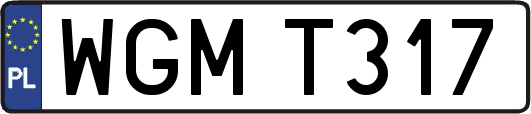 WGMT317
