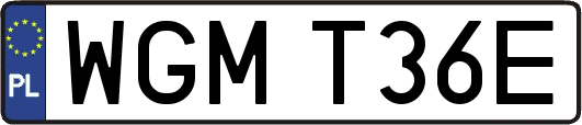 WGMT36E