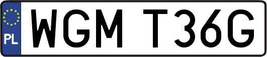 WGMT36G