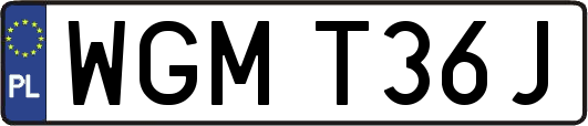 WGMT36J