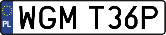 WGMT36P