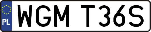 WGMT36S