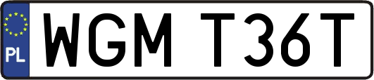 WGMT36T