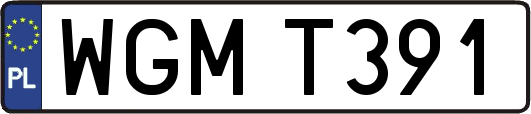WGMT391