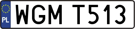 WGMT513