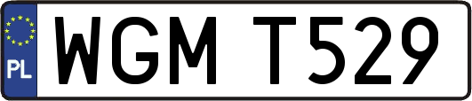 WGMT529