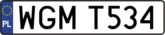 WGMT534