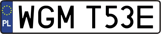 WGMT53E