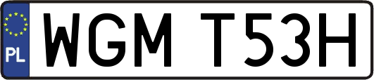 WGMT53H