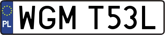 WGMT53L