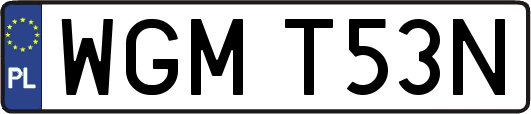 WGMT53N