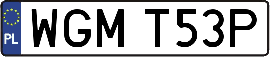 WGMT53P