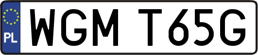 WGMT65G