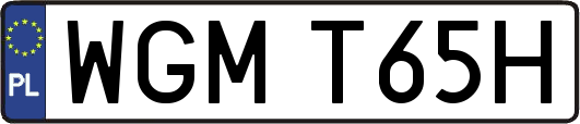 WGMT65H