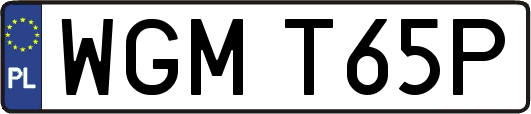 WGMT65P