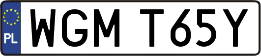 WGMT65Y