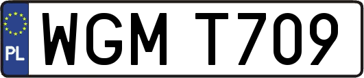 WGMT709