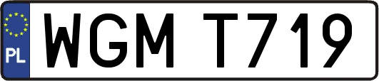 WGMT719