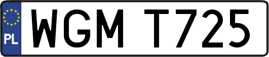 WGMT725