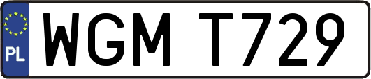 WGMT729