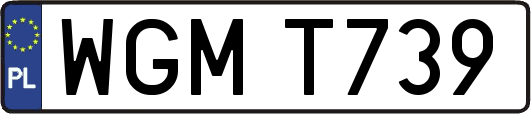 WGMT739